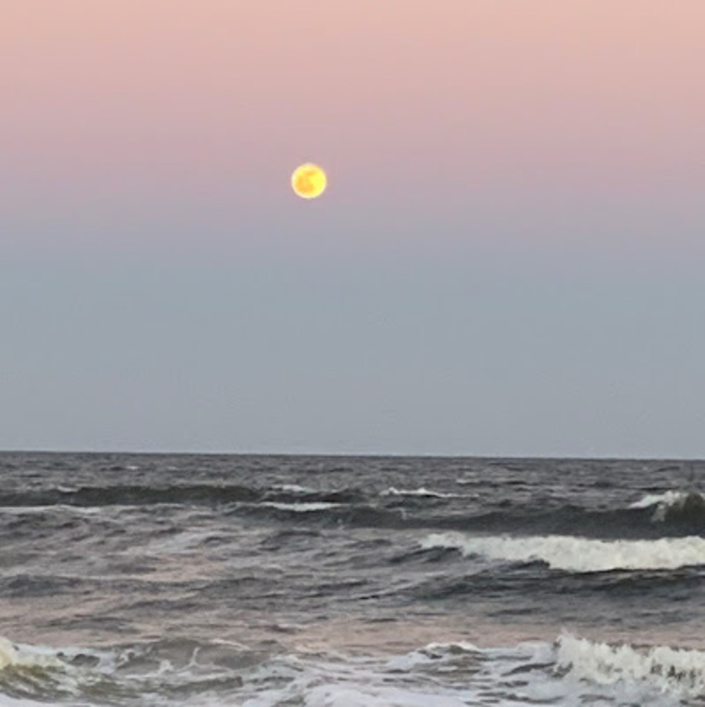 Meet your Posher, Alexis